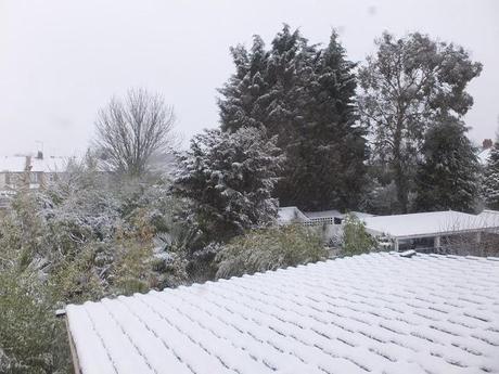 First Day of Spring...