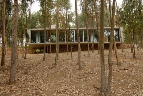 Omnibus House by Gubbins Arquitectos 8