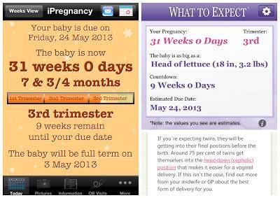 My Twin Pregnancy - Week 31