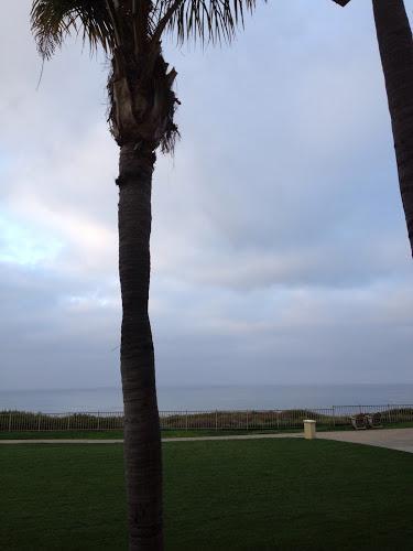 Room With A View Dana Point