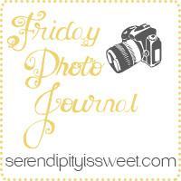 Friday Photo Journal