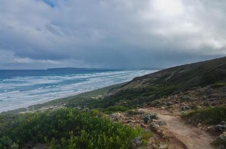 discovery bay from hillside