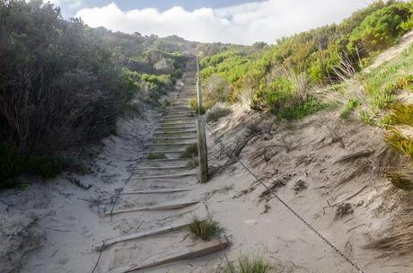 stair like timber slats up sand dunes