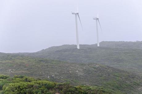 wind turbines cape nelson