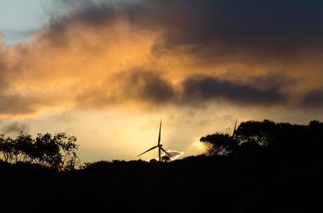 sun setting behind wind turbines