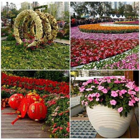 Rings and a carpet of flowers