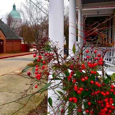 92 on st patrick's day in annapolis