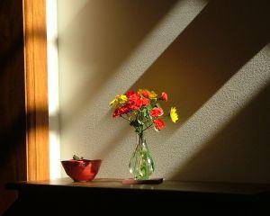 350544_vase_of_flowers_in_shadows_and