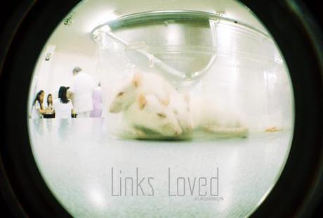 Links Loved