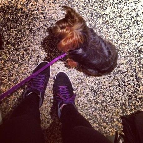 You know you’re cool when you’re in pinkberry and you take a picture because your shoelaces match your dog’s leash and it’s the third picture you’ve posted of her on Instagram today. (at Pinkberry)