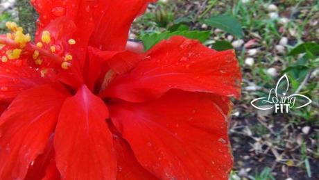 Monday Mingle #36 Meet Me On Monday