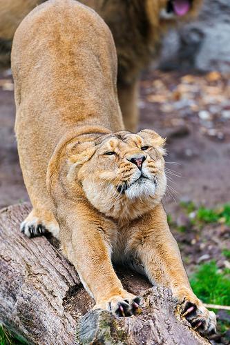 Monday Mingle #36 Meet Me On Monday