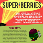 Four Super Food Berries