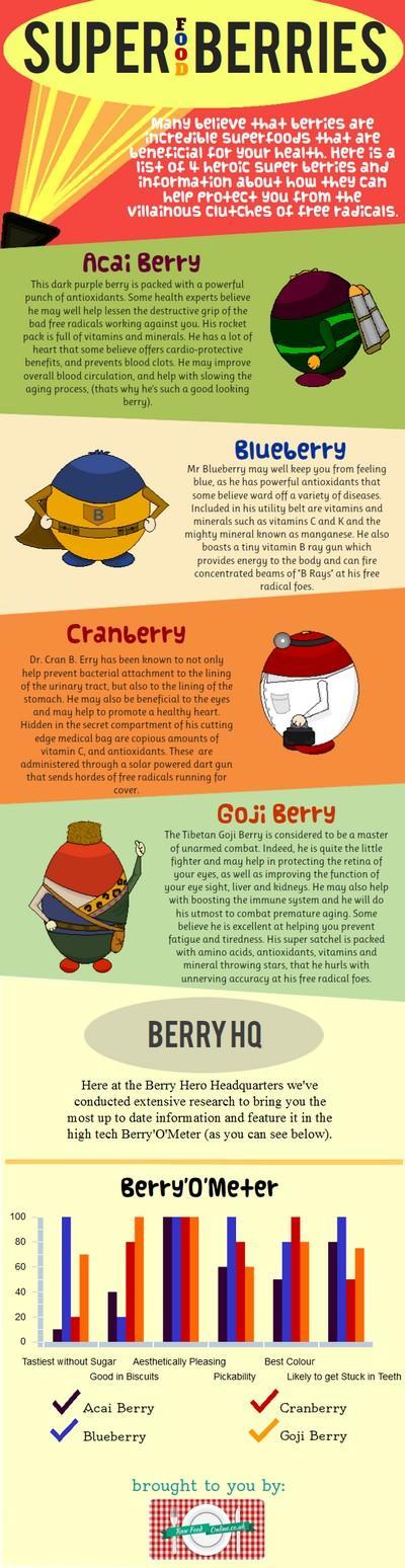 Four Super Food Berries Infographic