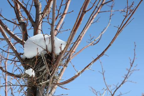 Links and Photos (mostly)