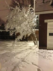 Record March Snow Storm Impacts St. Louis, Missouri