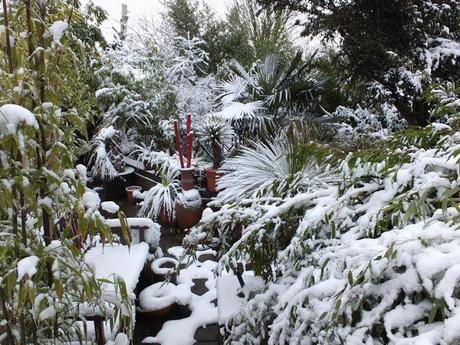 Spring, Where Art Thou?