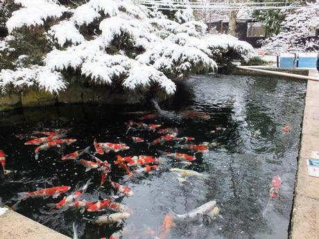 Spring, Where Art Thou?