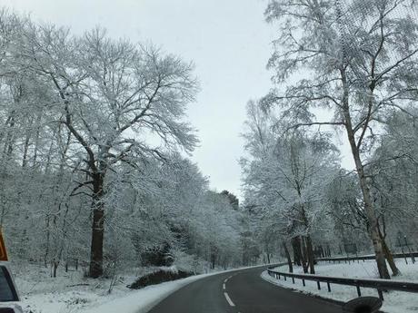 Spring, Where Art Thou?