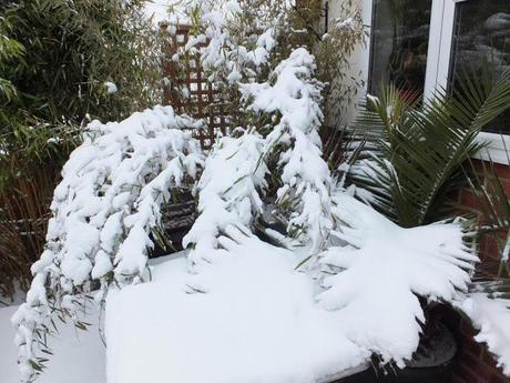 Spring, Where Art Thou?