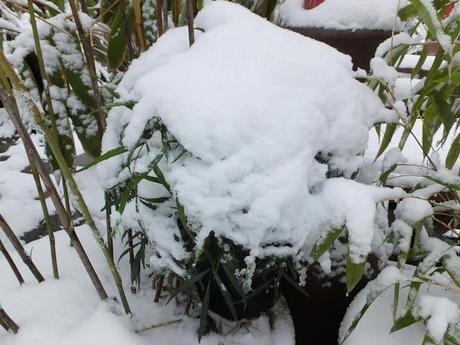 Spring, Where Art Thou?