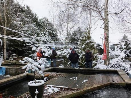 Spring, Where Art Thou?