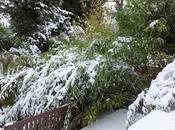 Spring, Where Thou?