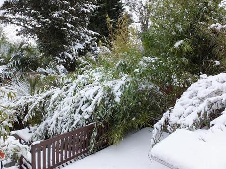 Spring, Where Art Thou?