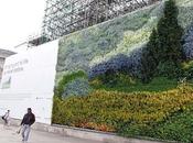 Living Wall