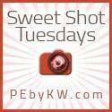 Sweet Shot Tuesday with Kent Weakley