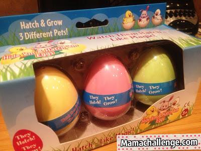 Easter Basket Idea: Hatch & Grow Your Own Easter Bunny, Chick or Duck!
