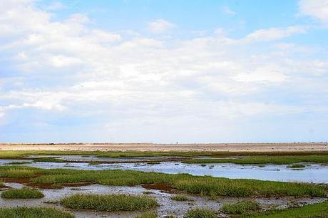 Pagham Harbour near Chichester