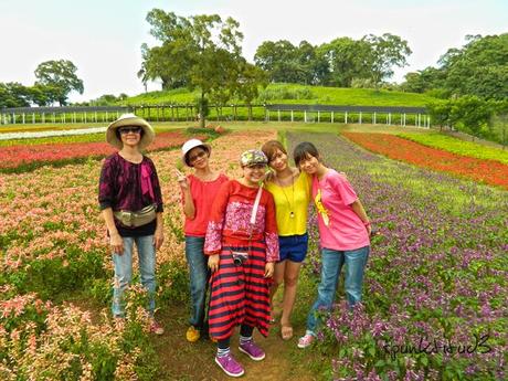 Taiwan: Blooming Delights in Daxi, Taoyuan