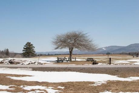 The Mountains The Mountains