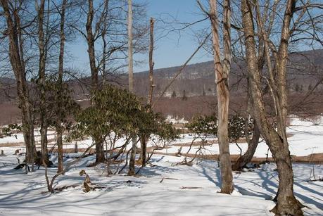 The Mountains The Mountains