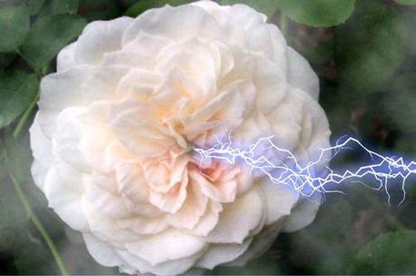 The way I feel after having spent the day reading about Trisha Donnelly.