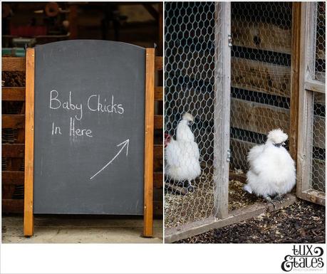 Amy & Steve Are Engaged! | Yorkshire Photography