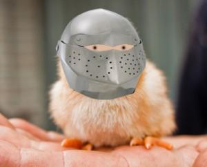 suit of armor chick