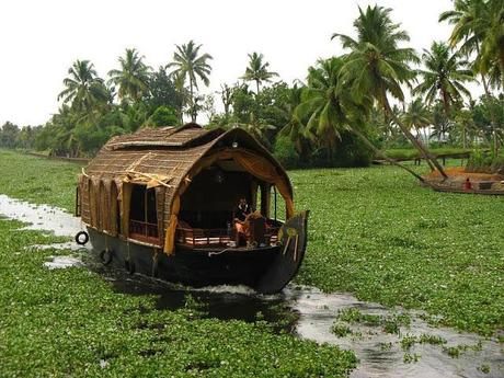 Kerala, Malabar coast, India