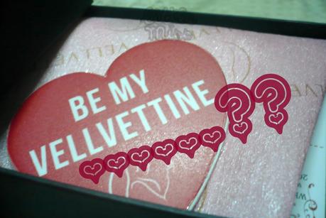 My February 2013 Velvette Box !