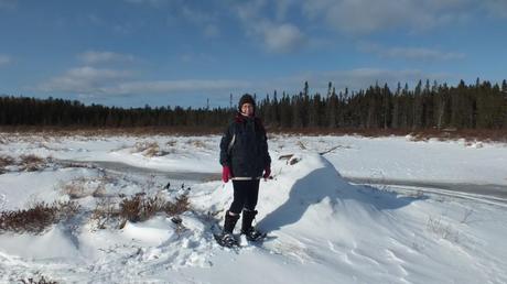 Jean checks out a beaver lodge in Spruce bog in Algonquin Park