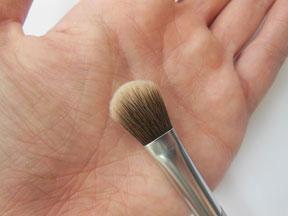 5 Favorite Brushes - Collab with Buying Cruelty Free & Makeup Matters by LNC!!!