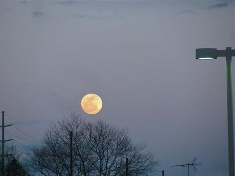 Easter-Moon-Over-Farmingdale