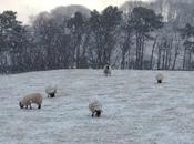 86/365 Running into Past