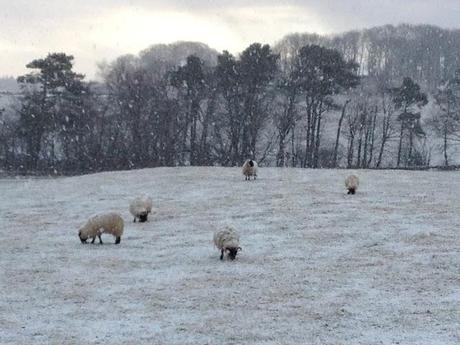 86/365 running into the past