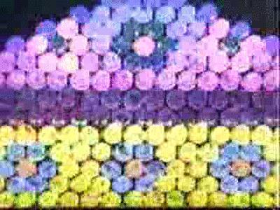 For some stupid reason, Tumblr won't let me upload these ...