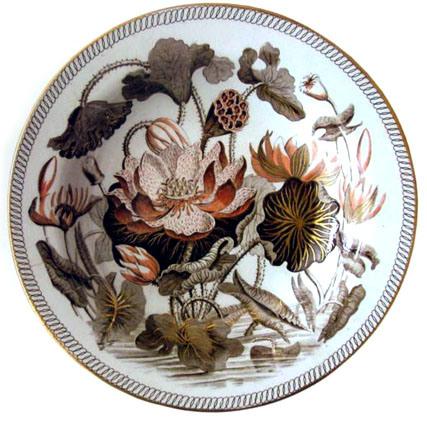 Wedgewood's Water Lily pattern which the Darwin's used