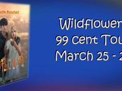 Wildflowers Schledia Benefield #99cents