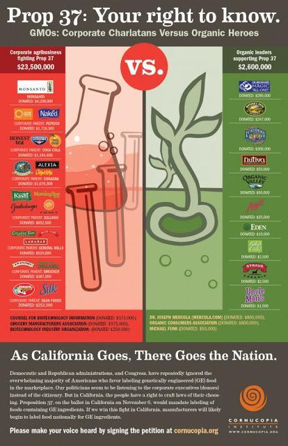 Monsanto Protection Act Signed Into Law: 5 Actions to Avoid GMO's