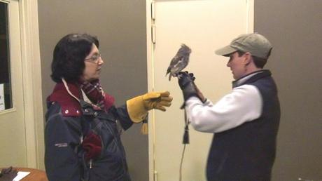Sandra and Jean with a Eastern Screech Owl -- Mountsberg Raptor Centre